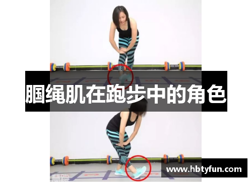 腘绳肌在跑步中的角色