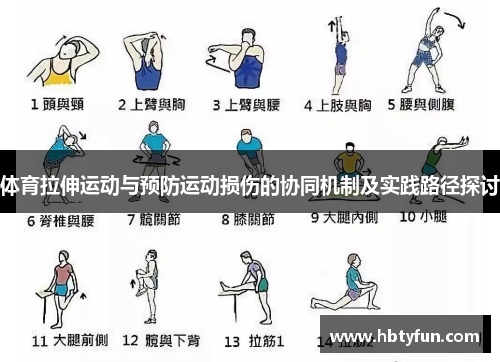 体育拉伸运动与预防运动损伤的协同机制及实践路径探讨