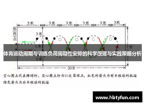 体育运动周期与训练负荷周期性安排的科学原理与实践策略分析