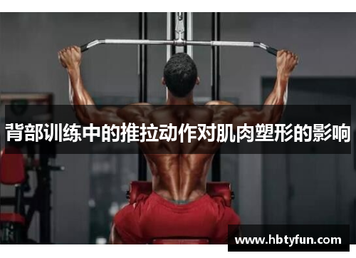 背部训练中的推拉动作对肌肉塑形的影响